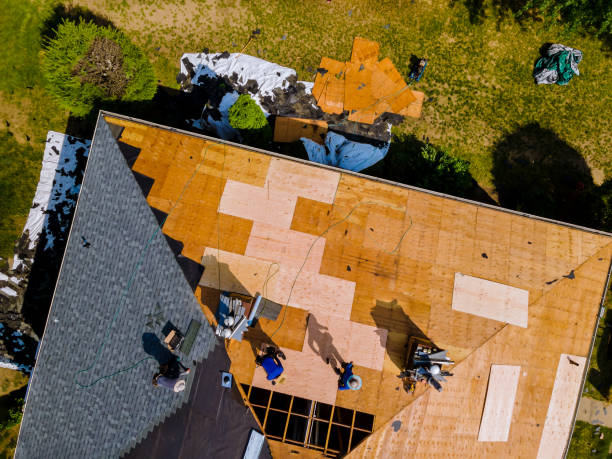 Roof Gutter Cleaning in Coplay, PA